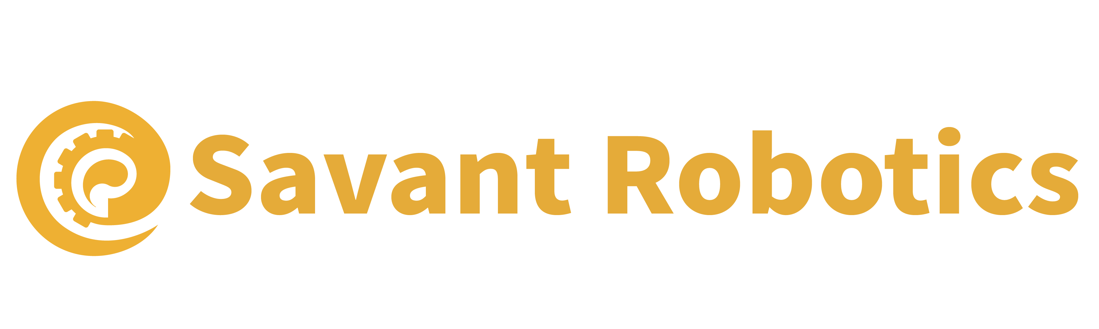 SAS Savant Energies
